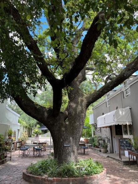 Hotel Cafe Felix & Old Oak Manor Riebeek-Kasteel Exterior foto