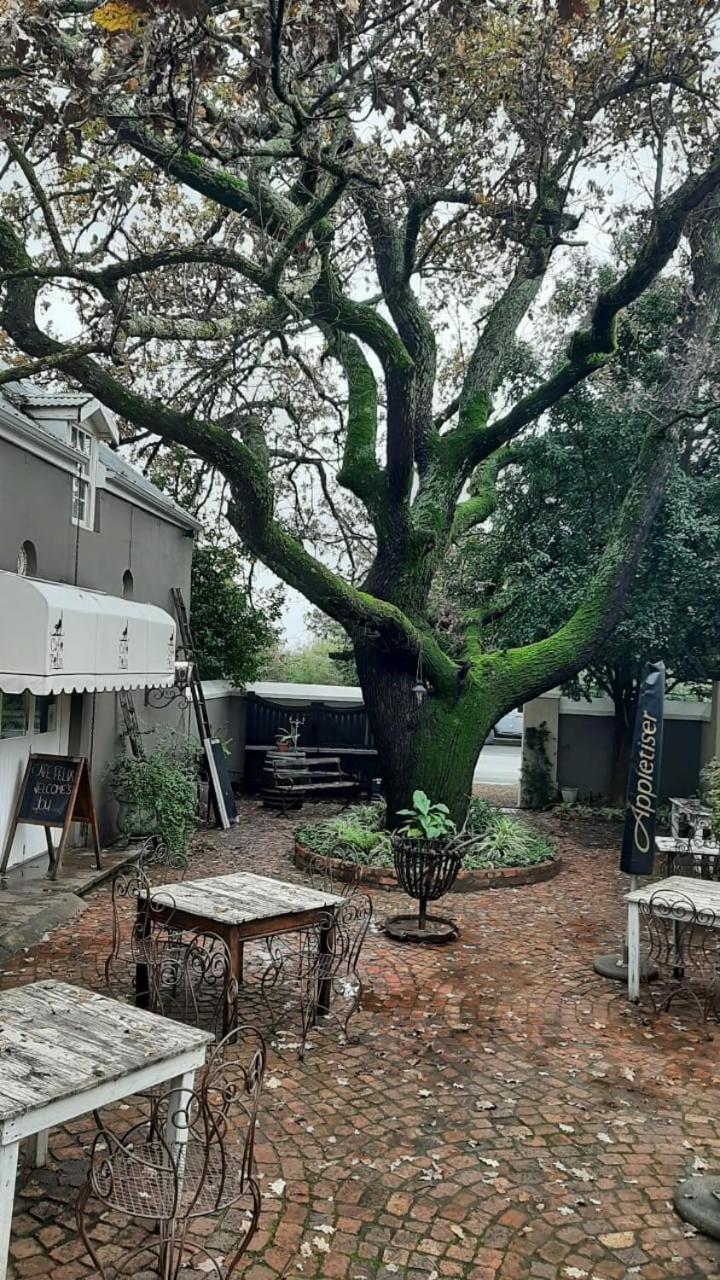 Hotel Cafe Felix & Old Oak Manor Riebeek-Kasteel Exterior foto